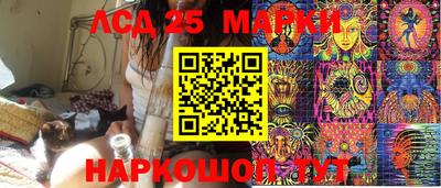 2c-b Камышлов