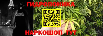 каннабис Кандалакша