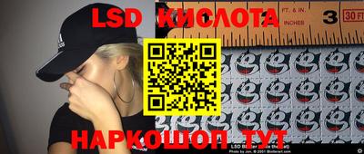2c-b Камышлов