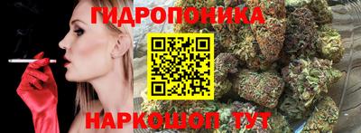 jwh Канаш